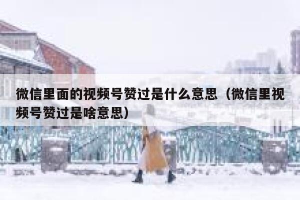 微信里面的视频号赞过是什么意思（微信里视频号赞过是啥意思） 第1张