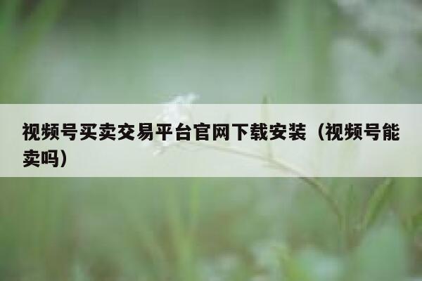 视频号买卖交易平台官网下载安装（视频号能卖吗） 第1张