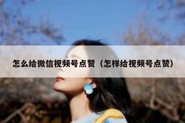 怎么给微信视频号点赞（怎样给视频号点赞） 第1张