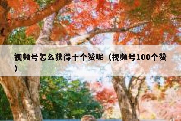 视频号怎么获得十个赞呢（视频号100个赞） 第1张