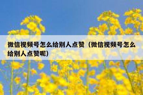 微信视频号怎么给别人点赞（微信视频号怎么给别人点赞呢） 第1张