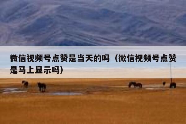 微信视频号点赞是当天的吗（微信视频号点赞是马上显示吗） 第1张