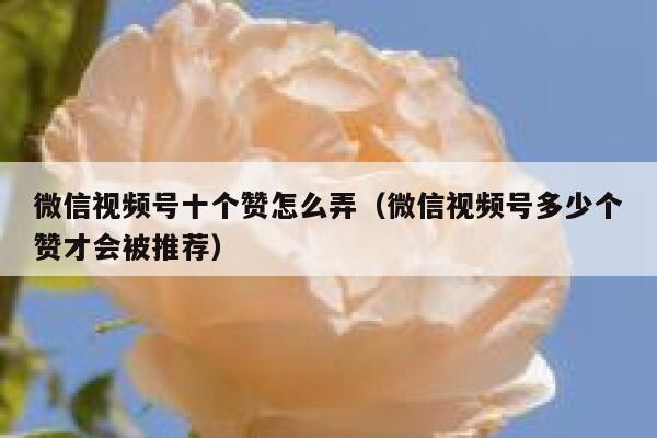 微信视频号十个赞怎么弄（微信视频号多少个赞才会被推荐） 第1张