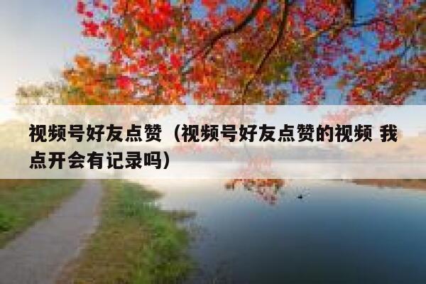 视频号好友点赞（视频号好友点赞的视频 我点开会有记录吗） 第1张