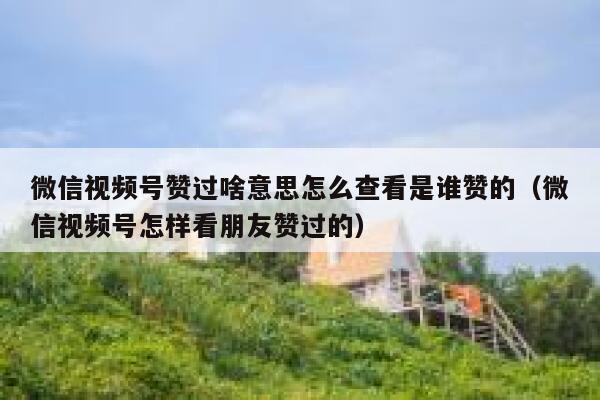 微信视频号赞过啥意思怎么查看是谁赞的（微信视频号怎样看朋友赞过的） 第1张