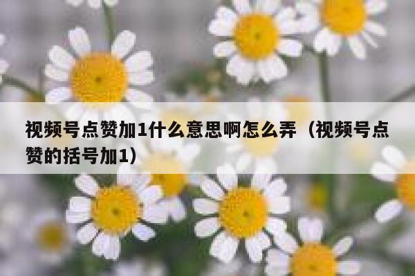 视频号点赞加1什么意思啊怎么弄（视频号点赞的括号加1） 第1张