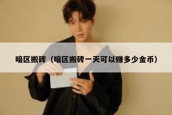 暗区搬砖（暗区搬砖一天可以赚多少金币） 第1张