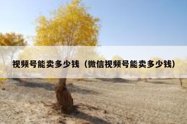 视频号能卖多少钱（微信视频号能卖多少钱） 第1张