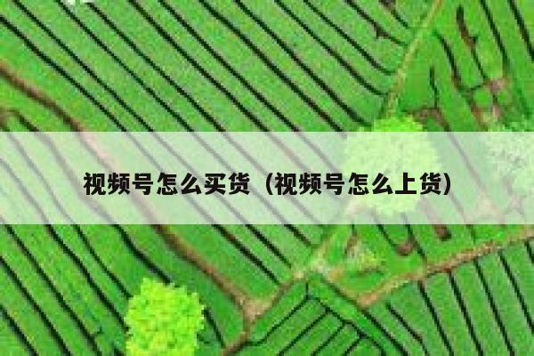 视频号怎么买货（视频号怎么上货） 第1张