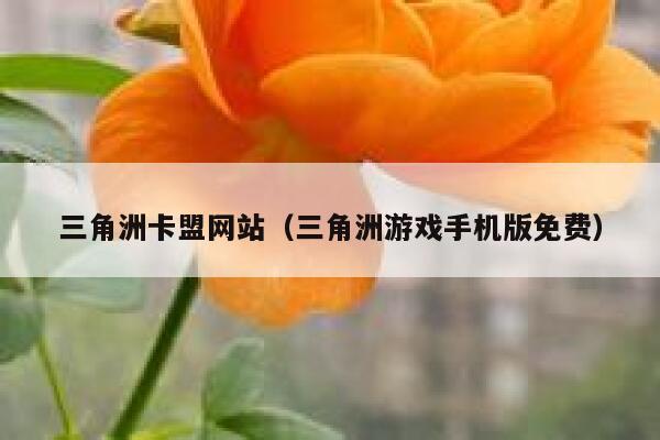 三角洲卡盟网站（三角洲游戏手机版免费） 第1张