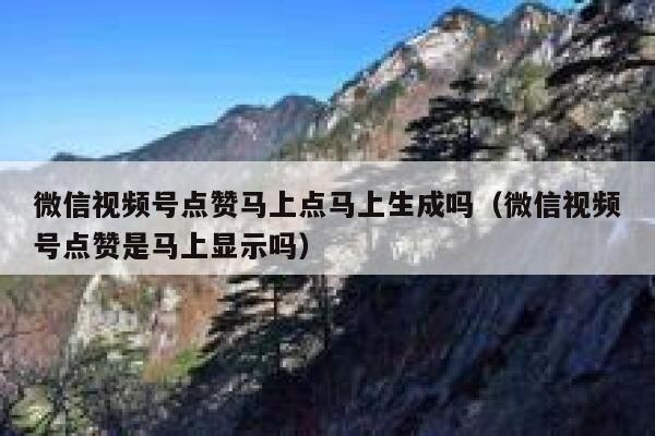 微信视频号点赞马上点马上生成吗（微信视频号点赞是马上显示吗） 第1张