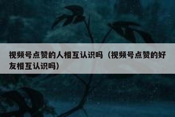 视频号点赞的人相互认识吗（视频号点赞的好友相互认识吗） 第1张