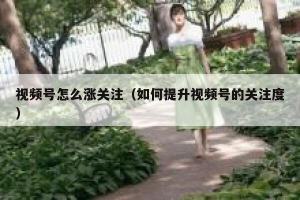 视频号怎么涨关注（如何提升视频号的关注度） 第1张