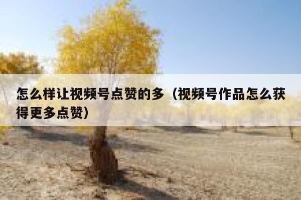 怎么样让视频号点赞的多（视频号作品怎么获得更多点赞） 第1张
