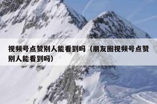 视频号点赞别人能看到吗（朋友圈视频号点赞别人能看到吗） 第1张