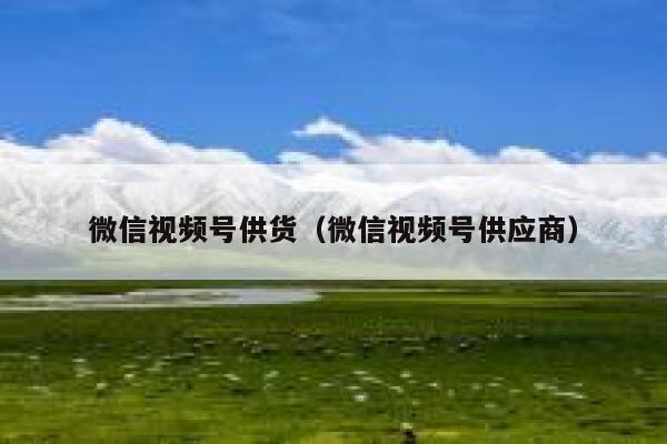 微信视频号供货（微信视频号供应商） 第1张