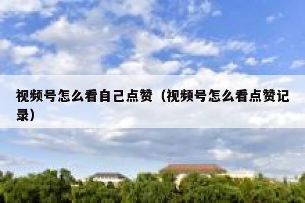 视频号怎么看自己点赞（视频号怎么看点赞记录） 第1张
