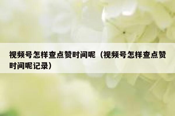 视频号怎样查点赞时间呢（视频号怎样查点赞时间呢记录） 第1张