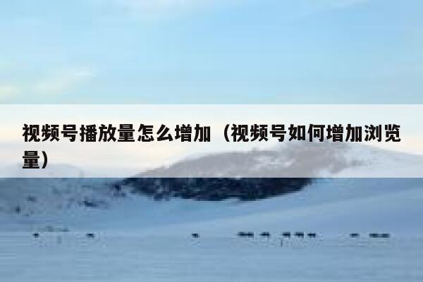 视频号播放量怎么增加（视频号如何增加浏览量） 第1张