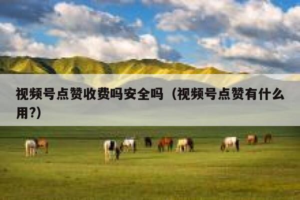 视频号点赞收费吗安全吗（视频号点赞有什么用?） 第1张