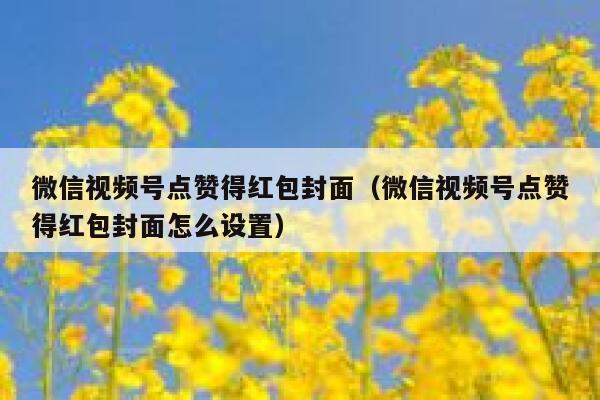 微信视频号点赞得红包封面（微信视频号点赞得红包封面怎么设置） 第1张
