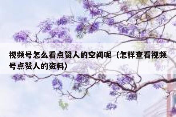 视频号怎么看点赞人的空间呢（怎样查看视频号点赞人的资料） 第1张