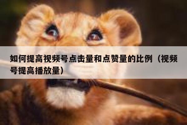 如何提高视频号点击量和点赞量的比例（视频号提高播放量） 第1张