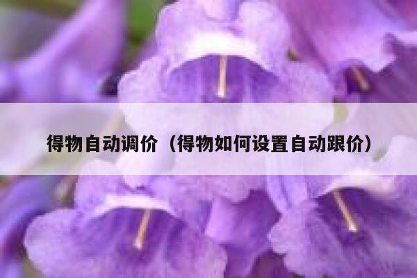 得物自动调价（得物如何设置自动跟价） 第1张