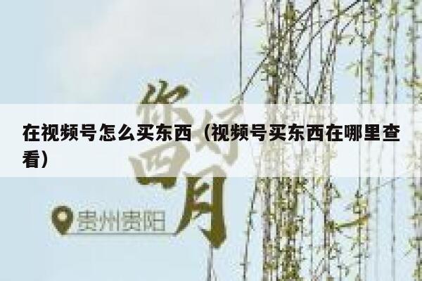 在视频号怎么买东西（视频号买东西在哪里查看） 第1张