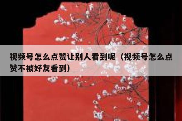 视频号怎么点赞让别人看到呢（视频号怎么点赞不被好友看到） 第1张