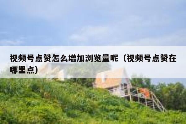 视频号点赞怎么增加浏览量呢(视频号点赞在哪里点) 第1张 视频号点赞怎么增加浏览量呢(视频号点赞在哪里点) 第1张