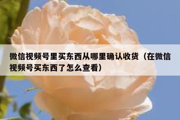 微信视频号里买东西从哪里确认收货（在微信视频号买东西了怎么查看） 第1张