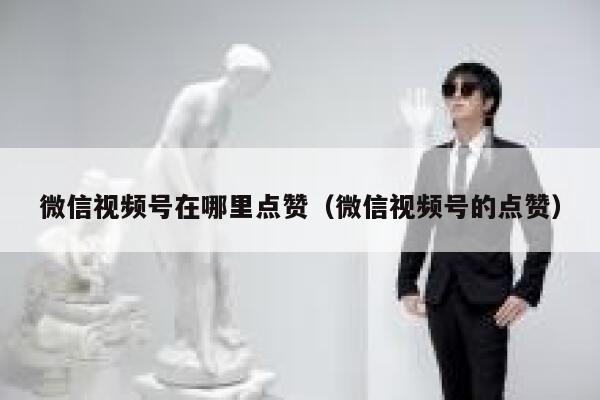 微信视频号在哪里点赞（微信视频号的点赞） 第1张