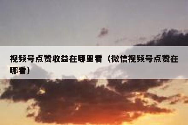 视频号点赞收益在哪里看（微信视频号点赞在哪看） 第1张