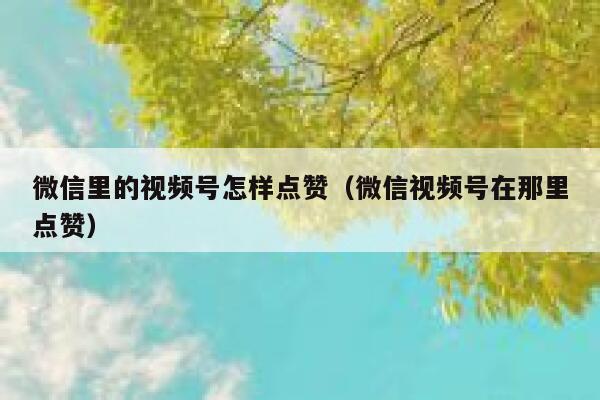 微信里的视频号怎样点赞（微信视频号在那里点赞） 第1张