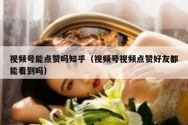 视频号能点赞吗知乎(视频号视频点赞好友都能看到吗) 第1张 视频号能点赞吗知乎(视频号视频点赞好友都能看到吗) 第1张