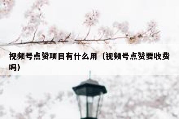 视频号点赞项目有什么用（视频号点赞要收费吗） 第1张