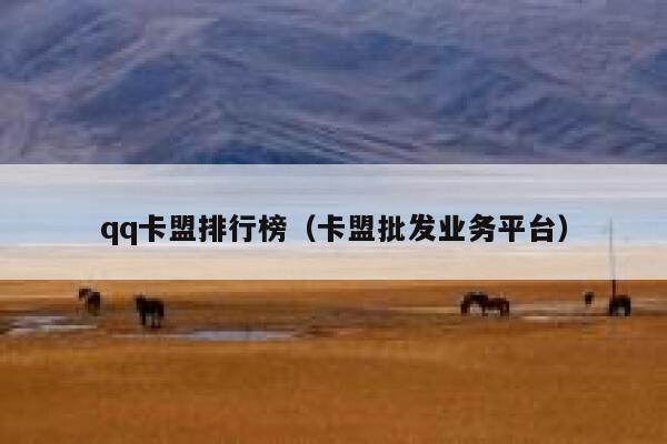 qq卡盟排行榜（卡盟批发业务平台） 第1张