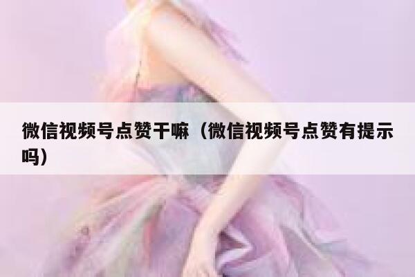 微信视频号点赞干嘛(微信视频号点赞有提示吗) 第1张 微信视频号点赞干嘛(微信视频号点赞有提示吗) 第1张