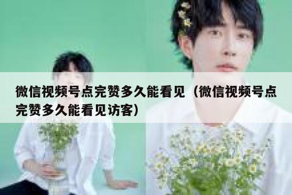 微信视频号点完赞多久能看见（微信视频号点完赞多久能看见访客） 第1张