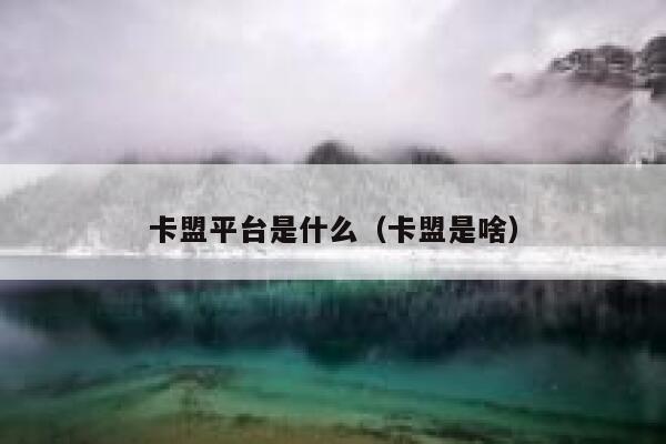 卡盟平台是什么(卡盟是啥) 第1张 卡盟平台是什么(卡盟是啥) 第1张
