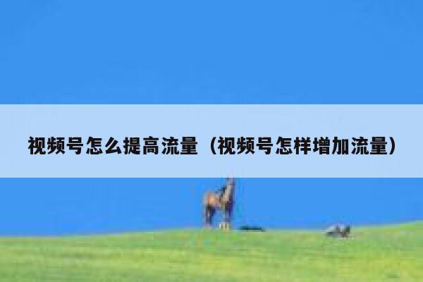 视频号怎么提高流量（视频号怎样增加流量） 第1张