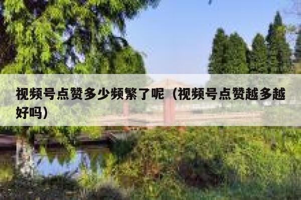 视频号点赞多少频繁了呢（视频号点赞越多越好吗） 第1张