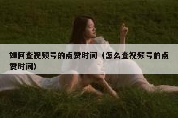 如何查视频号的点赞时间(怎么查视频号的点赞时间) 第1张 如何查视频号的点赞时间(怎么查视频号的点赞时间) 第1张