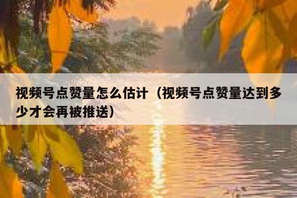 视频号点赞量怎么估计（视频号点赞量达到多少才会再被推送） 第1张