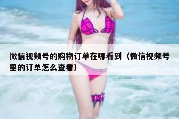 微信视频号的购物订单在哪看到(微信视频号里的订单怎么查看) 第1张 微信视频号的购物订单在哪看到(微信视频号里的订单怎么查看) 第1张