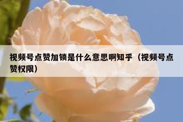 视频号点赞加锁是什么意思啊知乎（视频号点赞权限） 第1张