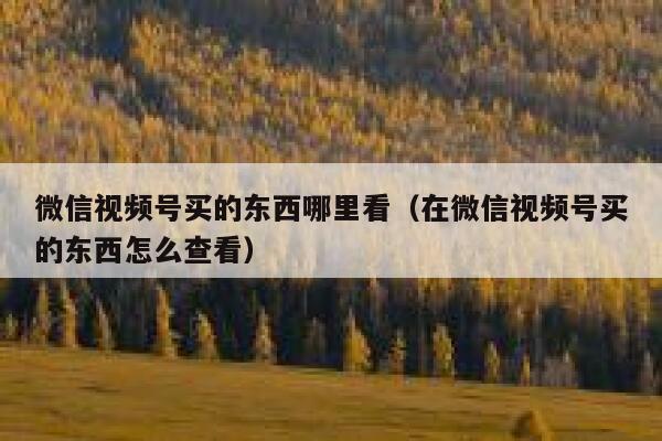 微信视频号买的东西哪里看（在微信视频号买的东西怎么查看） 第1张
