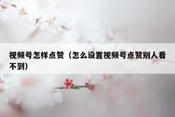 视频号怎样点赞（怎么设置视频号点赞别人看不到） 第1张