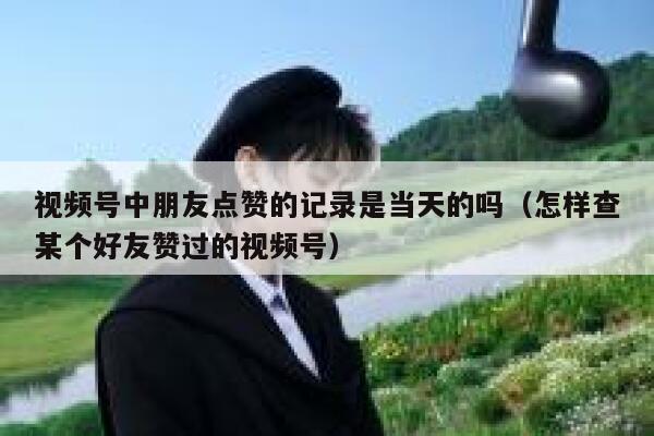 视频号中朋友点赞的记录是当天的吗(怎样查某个好友赞过的视频号) 第1张 视频号中朋友点赞的记录是当天的吗(怎样查某个好友赞过的视频号) 第1张
